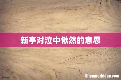 新亭对泣中愀然的意思