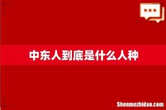 中东人到底是什么人种