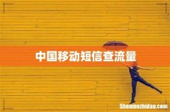 中国移动短信查流量