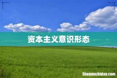 资本主义意识形态