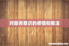 对服务意识的感悟和看法
