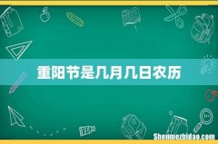 重阳节是几月几日农历