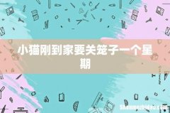 小猫刚到家要关笼子一个星期