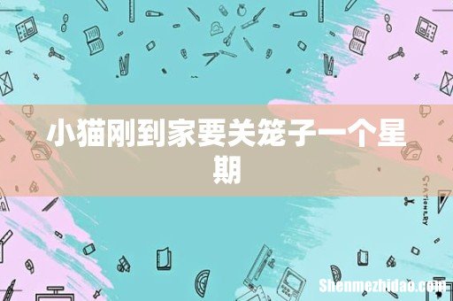 小猫刚到家要关笼子一个星期