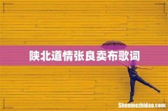 陕北道情张良卖布歌词