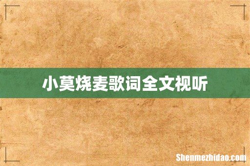 小莫烧麦歌词全文视听
