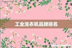 工业洗衣机品牌排名