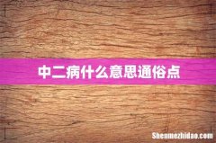 中二病什么意思通俗点