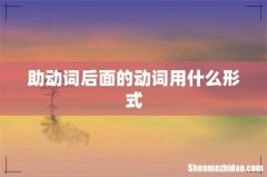 助动词后面的动词用什么形式