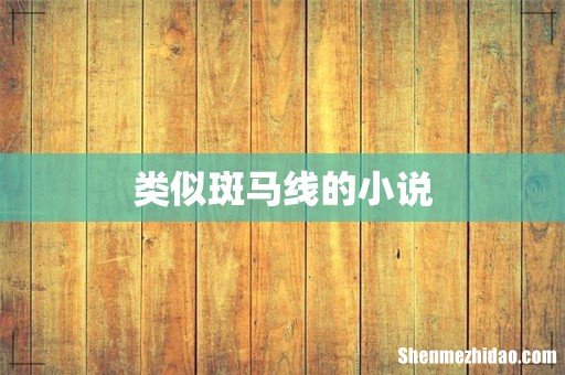 类似斑马线的小说