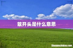 兹开头是什么意思