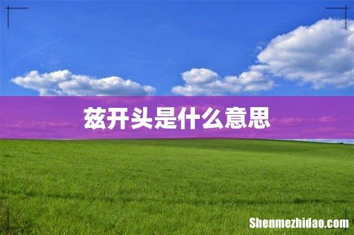 兹开头是什么意思
