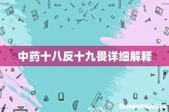 中药十八反十九畏详细解释