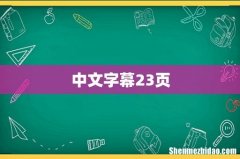 中文字幕23页