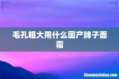 毛孔粗大用什么国产牌子面霜