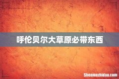 呼伦贝尔大草原必带东西