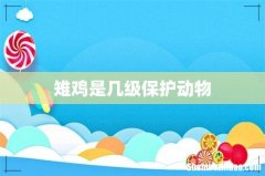 雉鸡是几级保护动物