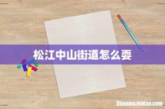 松江中山街道怎么耍