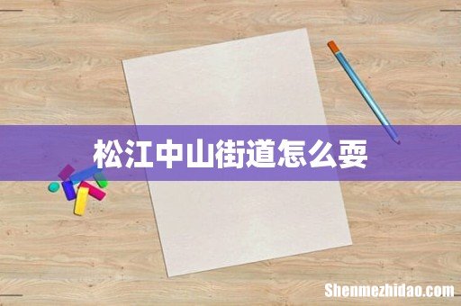 松江中山街道怎么耍