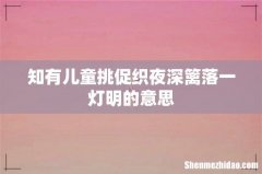 知有儿童挑促织夜深篱落一灯明的意思