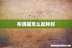 布偶猫怎么配种好