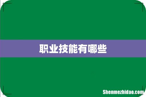 职业技能有哪些