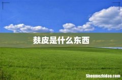 麸皮是什么东西