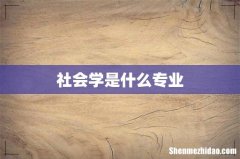 社会学是什么专业