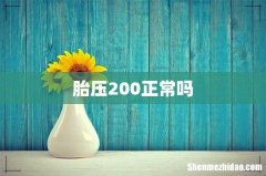 胎压200正常吗