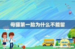 母猫第一胎为什么不能留