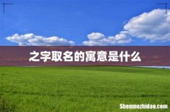 之字取名的寓意是什么