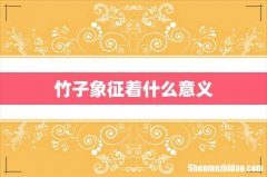 竹子象征着什么意义