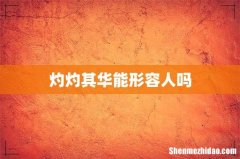灼灼其华能形容人吗