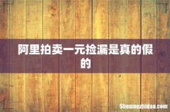阿里拍卖一元捡漏是真的假的