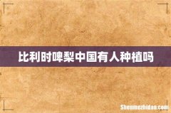 比利时啤梨中国有人种植吗