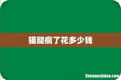 猫腿瘸了花多少钱