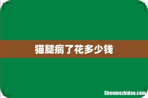 猫腿瘸了花多少钱