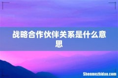 战略合作伙伴关系是什么意思