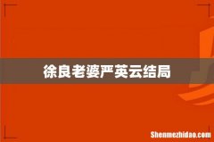 徐良老婆严英云结局