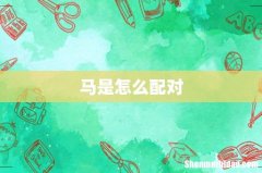 马是怎么配对