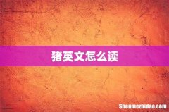 猪英文怎么读
