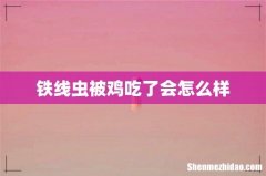 铁线虫被鸡吃了会怎么样