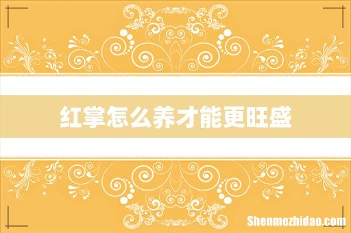 红掌怎么养才能更旺盛