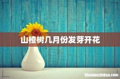 山楂树几月份发芽开花