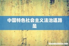 中国特色社会主义法治道路是