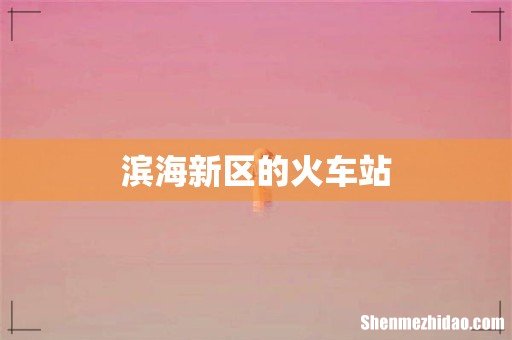 滨海新区的火车站