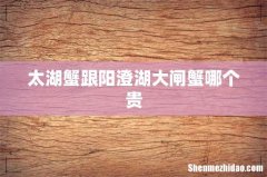 太湖蟹跟阳澄湖大闸蟹哪个贵