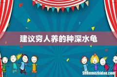 建议穷人养的种深水龟