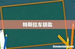 特斯拉车钥匙