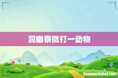 洞幽察微打一动物